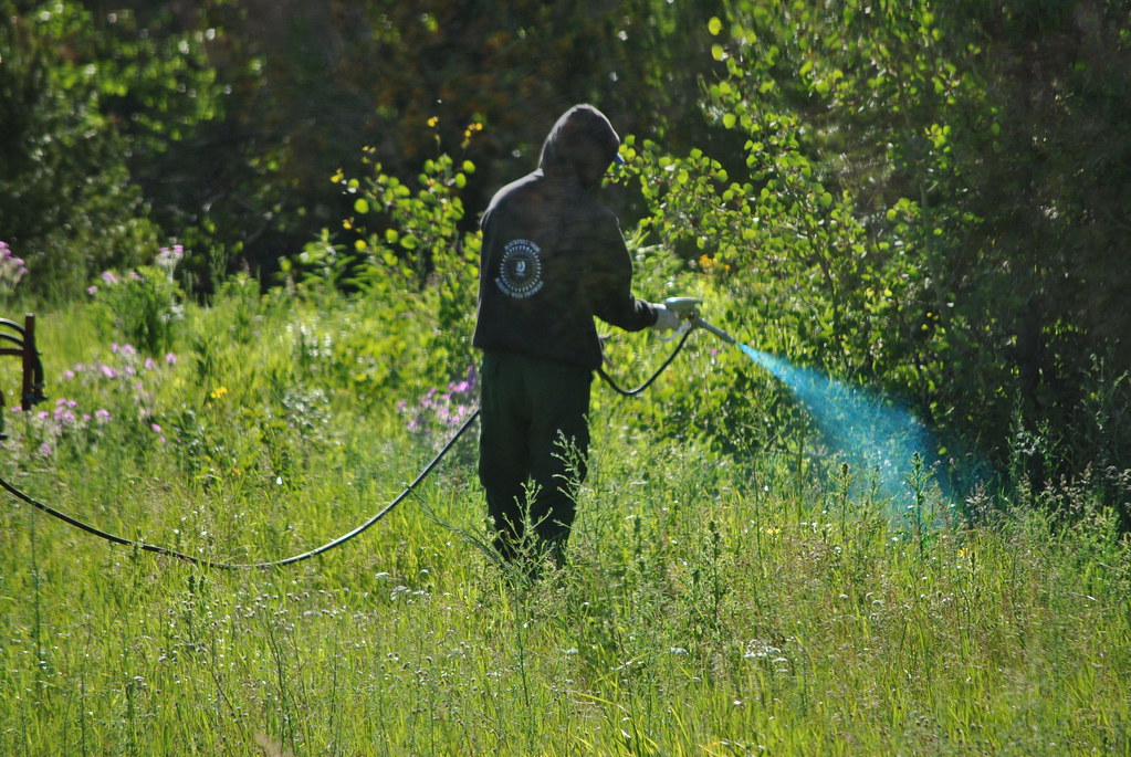 Permanent Weed Control in Arizona: How Sergio’S Lawn Services LLC Eliminates Weeds With Proven “Be Gone Forever” Treatments