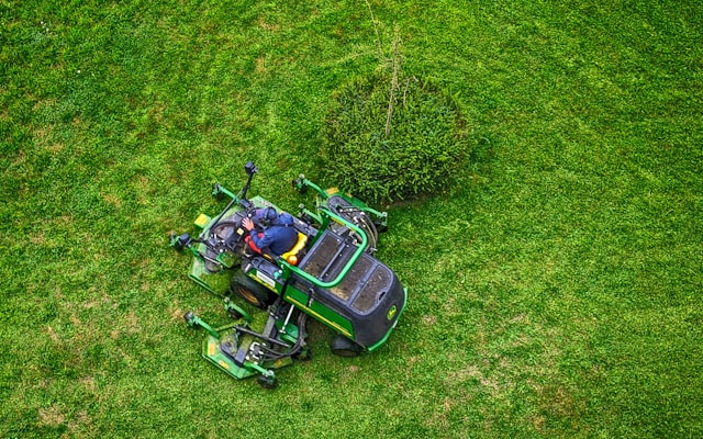 Seasonal Lawn Care Strategies in Phoenix: Why Homeowners Trust Sergio’s Lawn Services LLC for Year-Round Turf Health