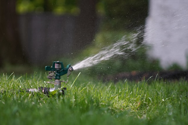 How Sergio’S Lawn Services LLC Keeps Phoenix Lawns Thriving With Expert Sprinkler Repair and Water-Efficient Solutions