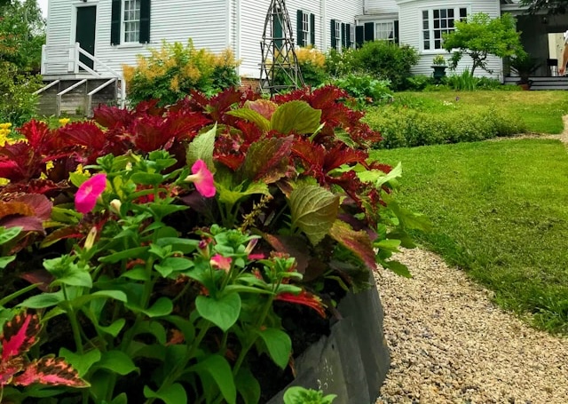 Home Landscaping