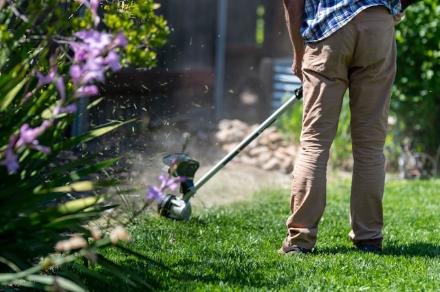 Lawn Care Services in Phoenix AZ: Essential Practices for a Healthy Desert Lawn