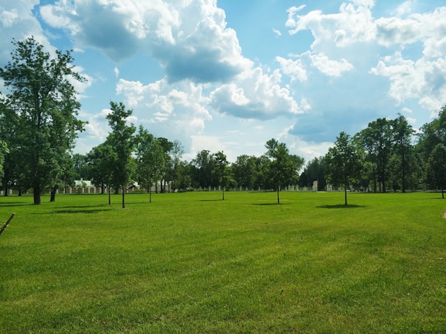 Lawn Care Service Guide: How to Maintain Healthy Grass in Phoenix’s Extreme Heat