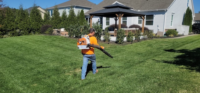 How Lawn Maintenance Services Protect Arizona Landscapes From Heat and Water Stress