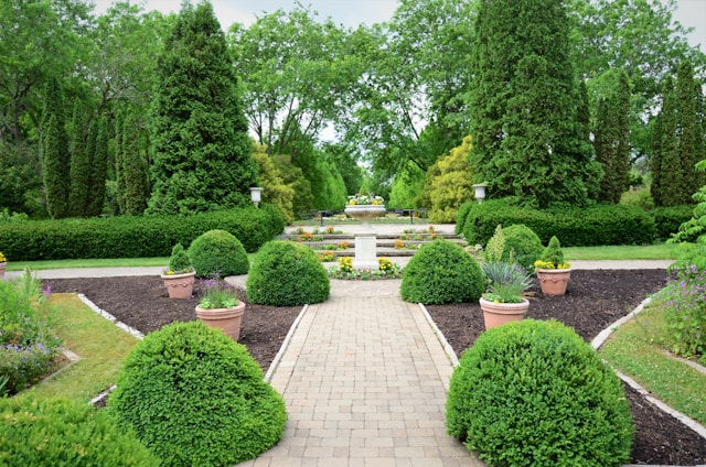 Landscape Design & Landscaping Services: Creating Functional Outdoor Living Spaces in Phoenix
