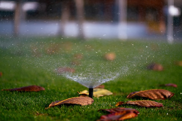 Irrigation Systems, Hardscaping & Tree Services: Essential Components of a Sustainable Arizona Landscape