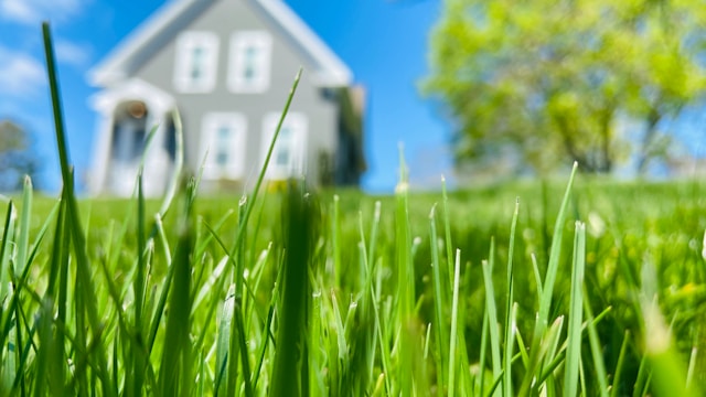 Commercial Lawn Maintenance Systems: Scaling Landscaping Operations for Business Parks and HOA Properties