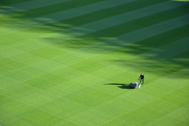 Soil Health, Fertilization, and Lawn Longevity: Scientific Foundations of Professional Lawn Care Services